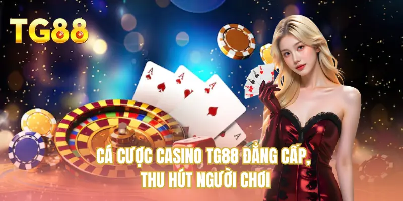 Cá cược casino TG88 đẳng cấp, thu hút người chơi