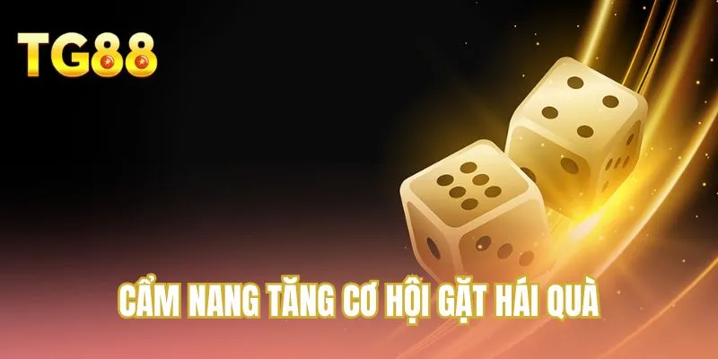 Cẩm nang tăng cơ hội gặt hái quà