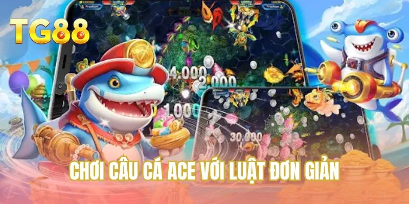 Chơi Câu cá ACE với luật đơn giản